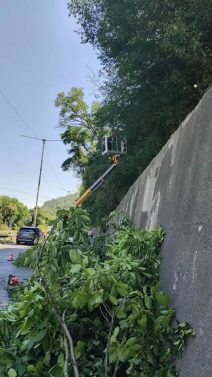 ОП "ФЛОР" продължава почистването на главен път I-6 в участъка от кв. &bdquo;Бела вода&ldquo; до кв. &bdquo;Църква&ldquo;