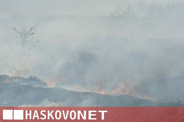 Пожар избухна в нерегламентираното сметище край &bdquo;Ерозия&ldquo;