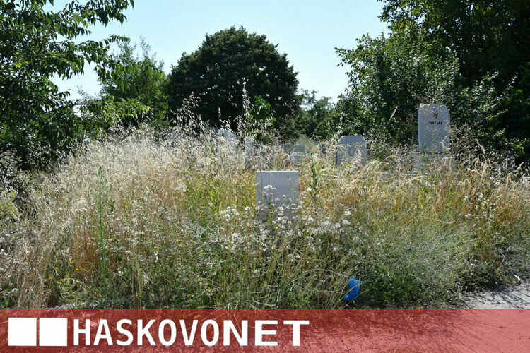 Хасковлия се жалва от вида на &bdquo;Пловдивските гробища&ldquo;