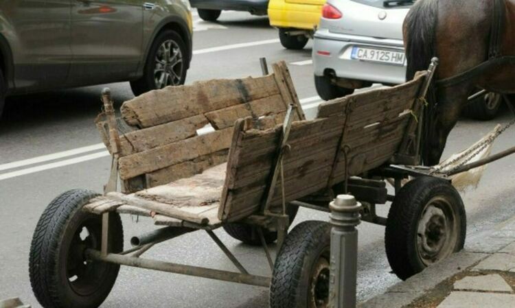 снимката е илюстративна