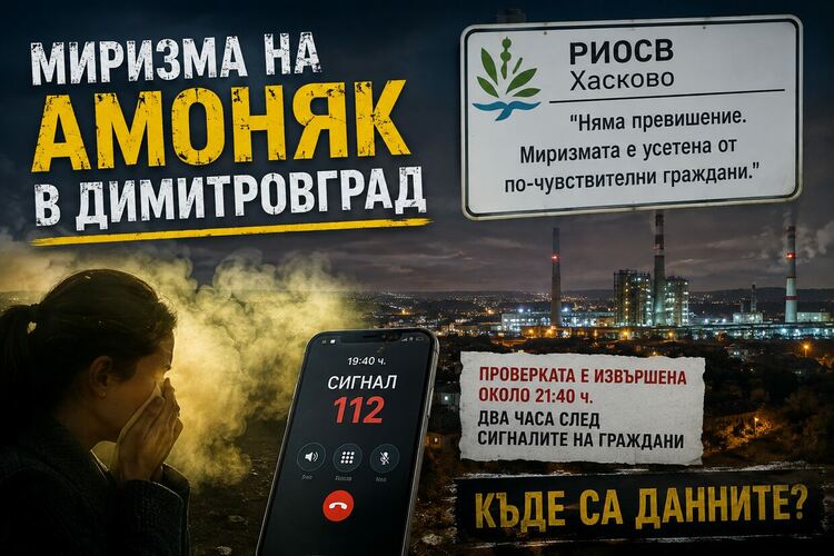 изображение IA