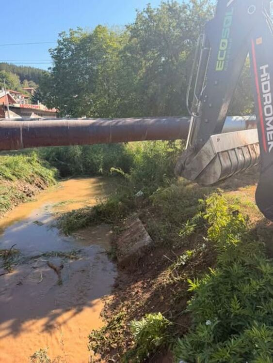 Започна почистване на коритото на река Бучащица в района на ул. &bdquo;Рашо Димитров&ldquo;