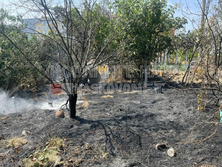 Искри от електрожен подпалиха двор във вилна зона &bdquo;Орфей&ldquo;