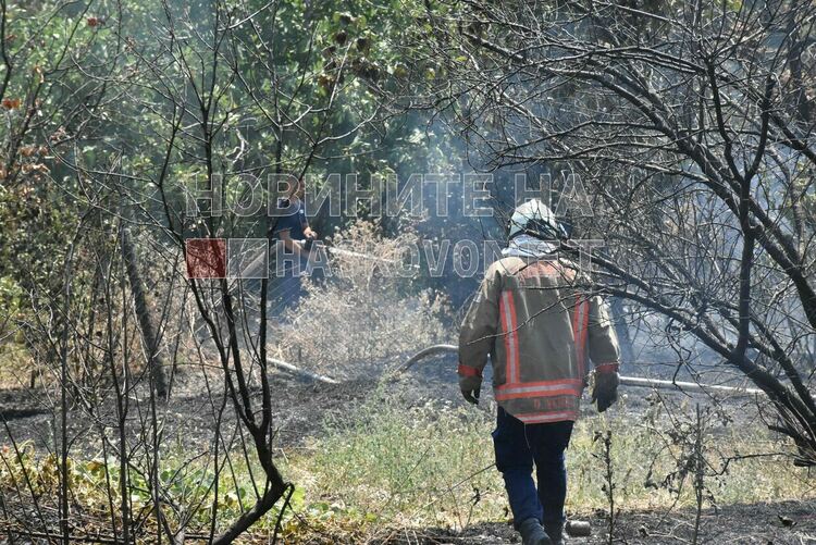 Искри от електрожен подпалиха двор във вилна зона &bdquo;Орфей&ldquo;
