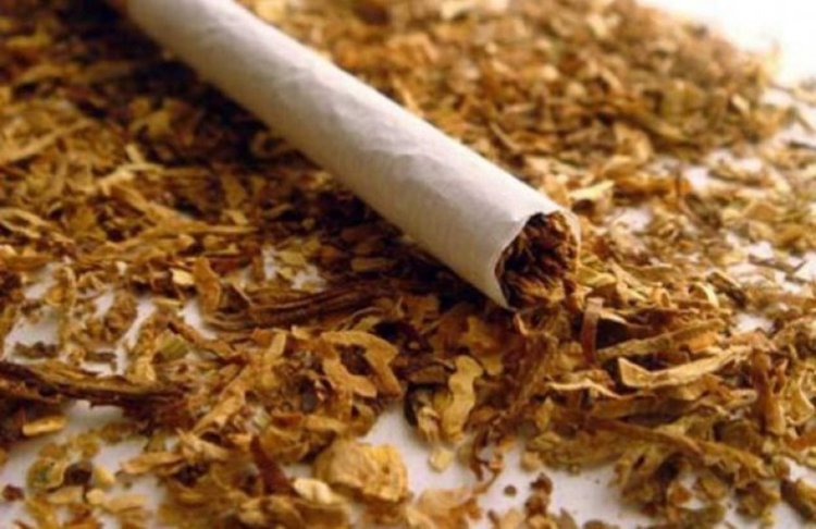 Kriminalisti Izzeha Tyutyun I Cigari Bez Banderol Smolyan Bgvesti Net